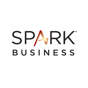 Website age verification for Spark