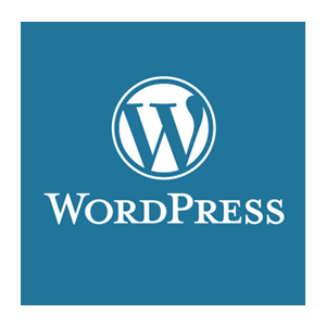 Website age verification for WordPress